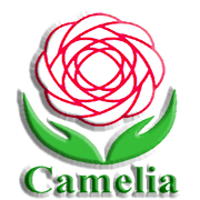 Trung Tâm Anh ngữ Camelia - Mai Lâm