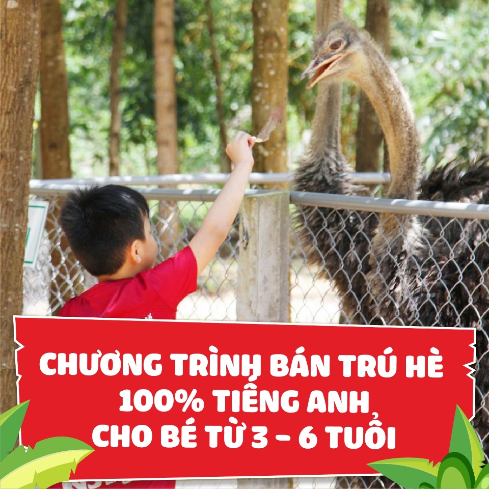 Ảnh thumbnail 0