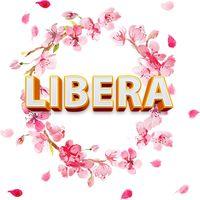 Trung Tâm Học Piano Libera - Gia Sàng