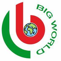 Trung Tâm Nghệ Thuật Big World - Trần Thủ Độ