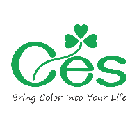 Trung Tâm Tiếng Anh CES - Đằng Lâm