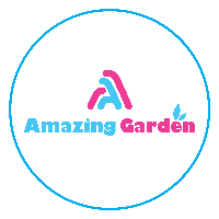 Trường mầm non Amazing Garden - Kiến Hưng