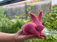 Trường Mầm Non Casa De Arte - Trần Nhật Duật