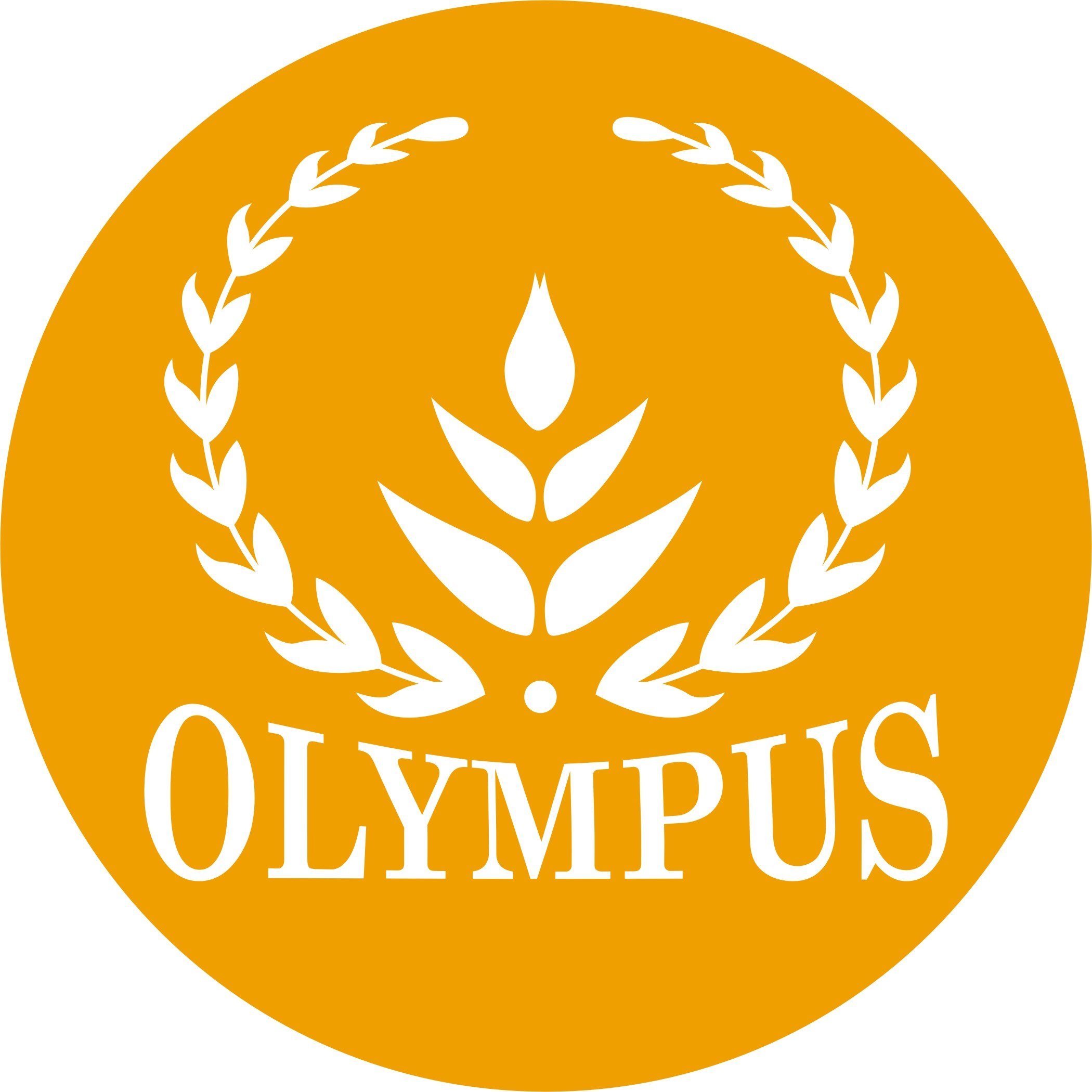 Mầm non Olympus - Cát Linh