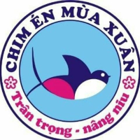Trường Mầm Non Song Ngữ Chim Én Mùa Xuân 6 - Phố Thiều
