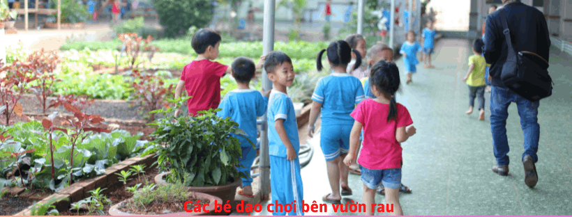 Ảnh thumbnail 2