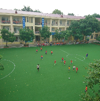 Trường Tiểu Học Lưu Quý An - Ngô Gia Tự