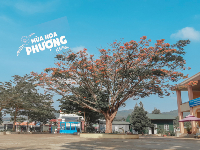 Trường Tiểu Học Mê Linh - Lâm Hà