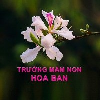 Trường mầm non Hoa Ban - Lào Cai