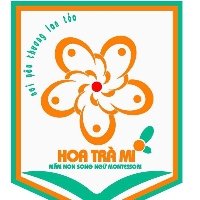 Mầm Non Hoa Trà Mi