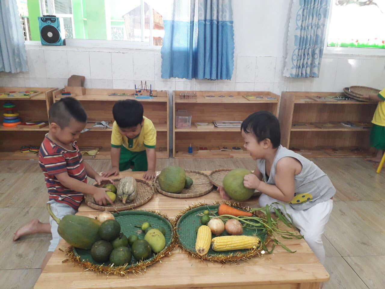 Cơ cở vật chất